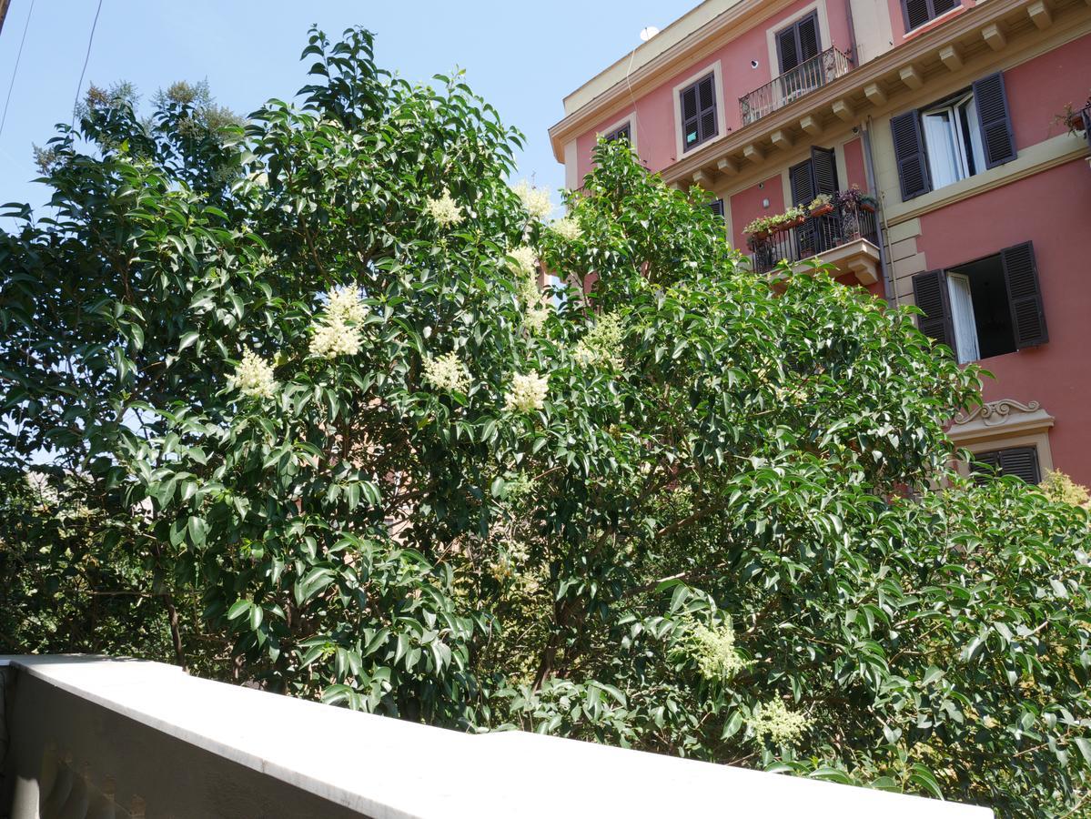 Nori Guest House Roma Exterior foto